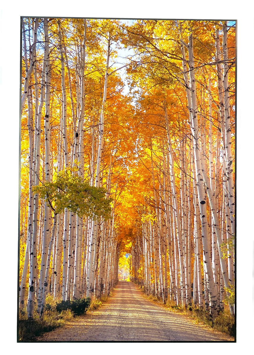 Autumn Garden Stabilo Point 68 Set – Of Aspen Curated Gifts