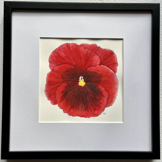 "Red Pansy " Original Framed Watercolor Painting