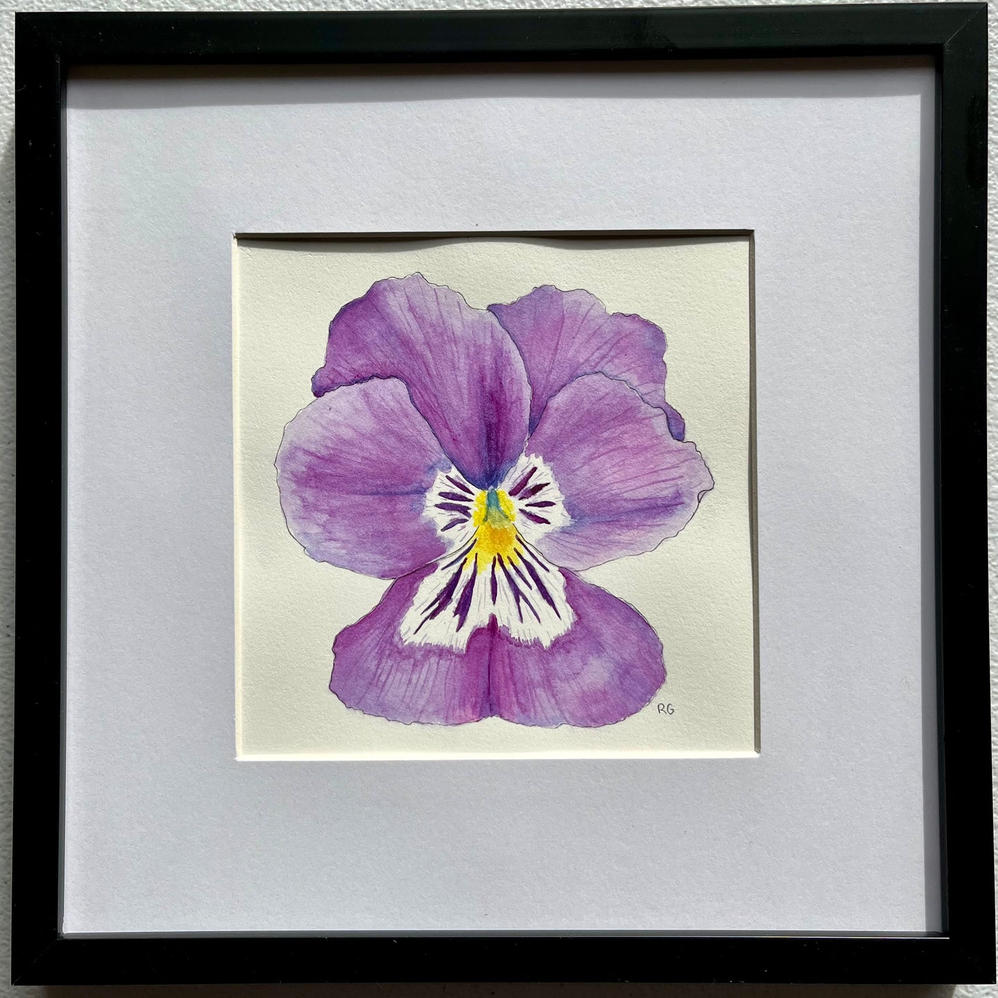 "Violet Pansy with Streaks " Original Framed Watercolor Painting