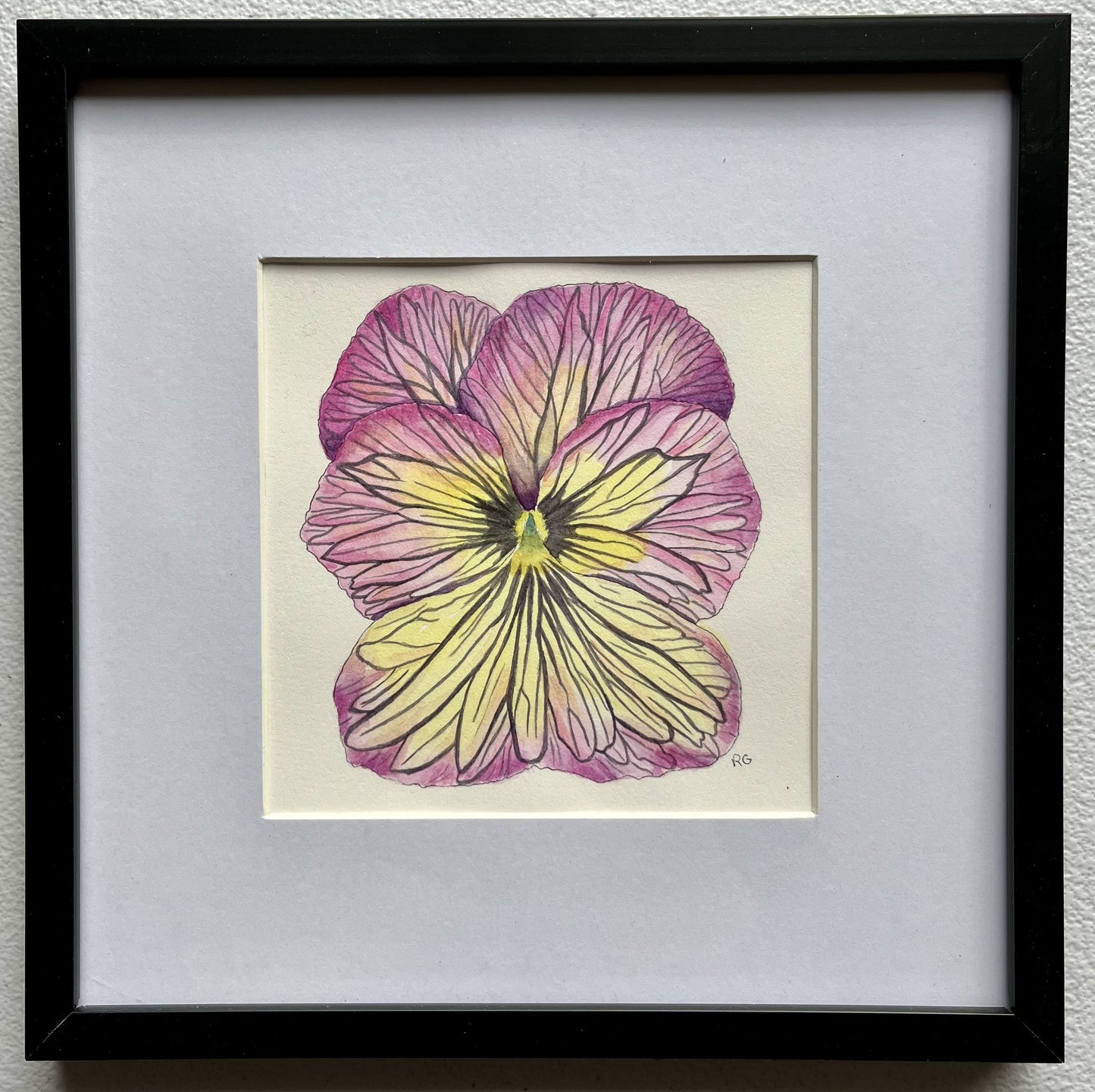 " Pink and Yellow Tiger Eye Viola " Original Framed Watercolor Painting