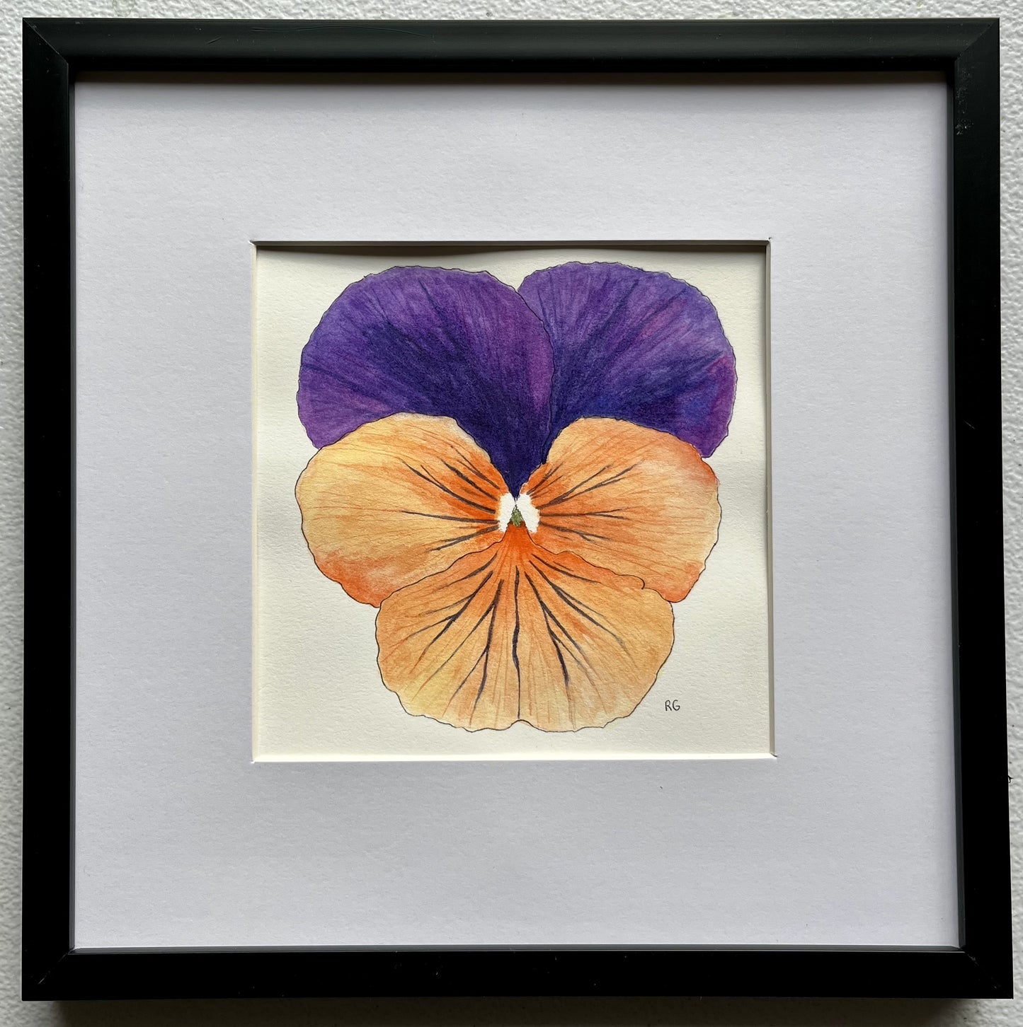 " Orange and Purple Pansy " Original Framed Watercolor Painting