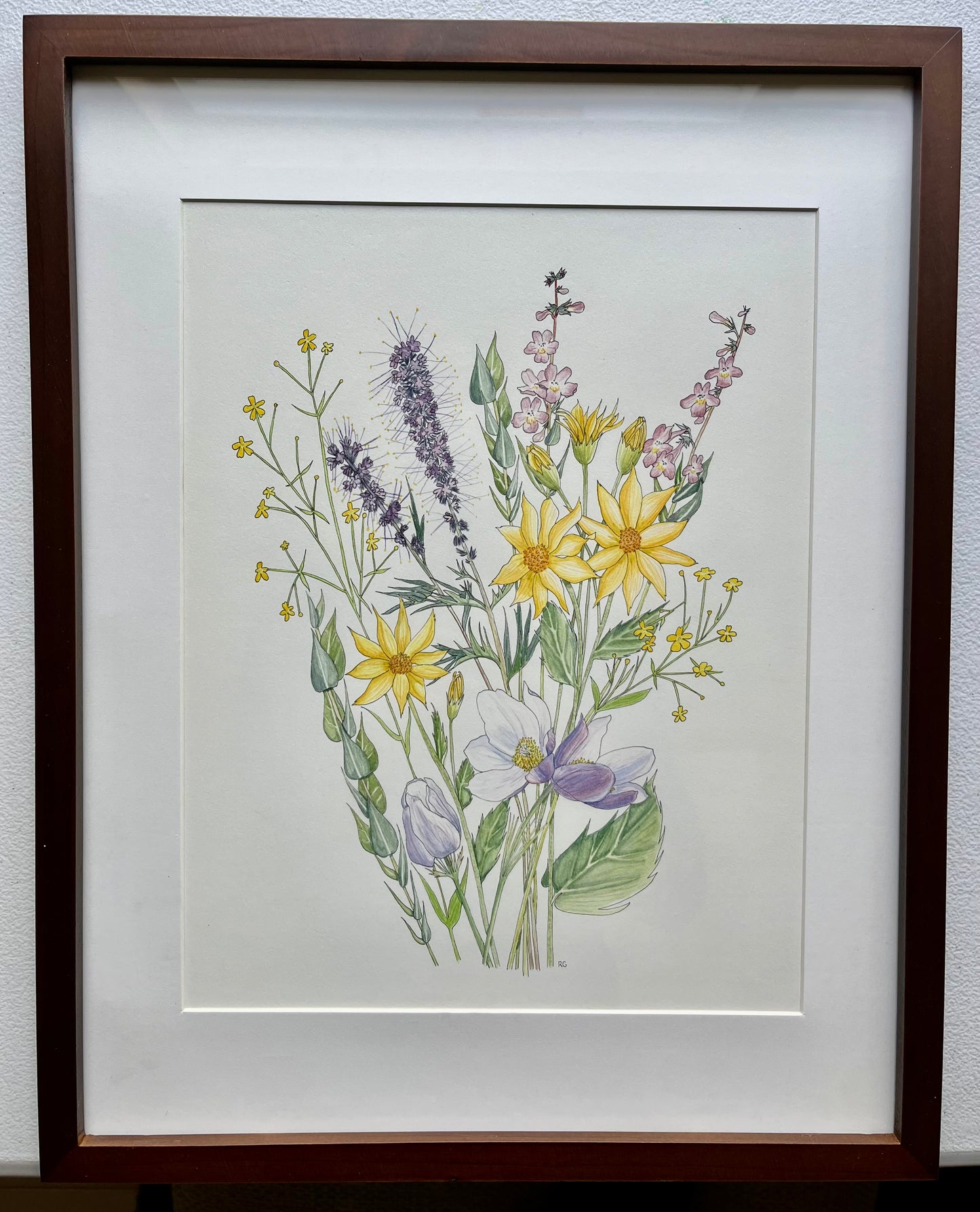 "Phacelia's Bouquet" Original Framed Watercolor Painting