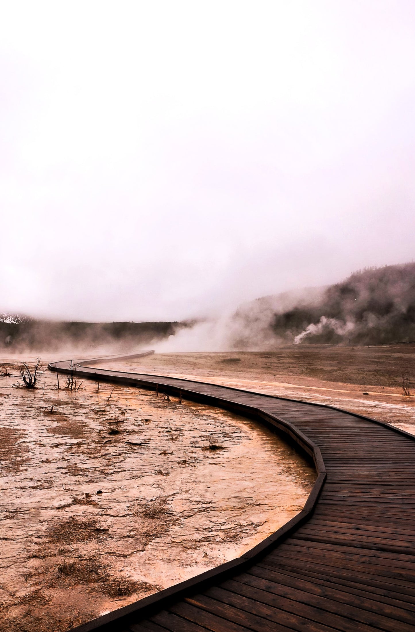 " Geyser Walk " Photograph Print