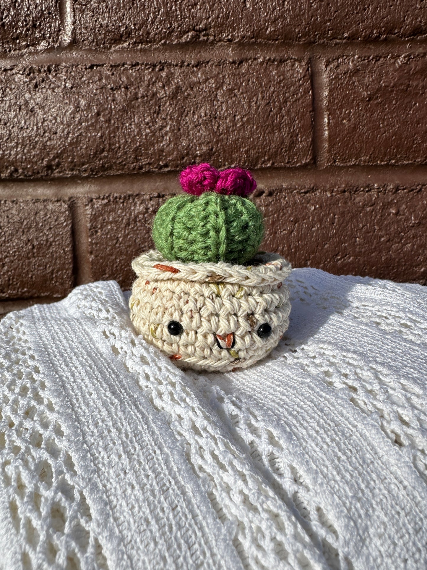 Crochet Cactus Baby Barrel in Sandy Pot with Fern Color