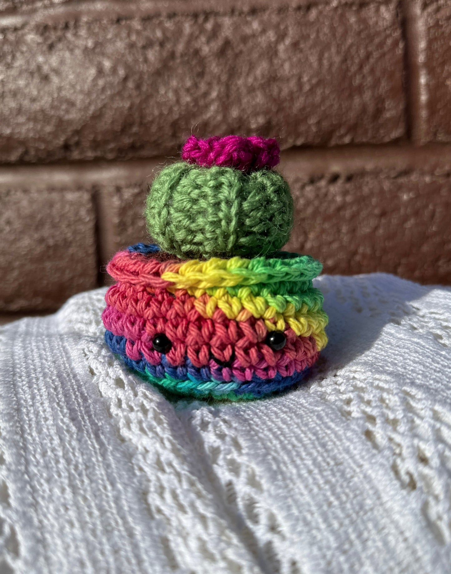 Crochet Cactus Baby Barrel in Rainbow Pot with Fern Color