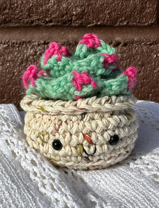 Crochet Cactus  Succulent in Sandy Pot with Mint Color