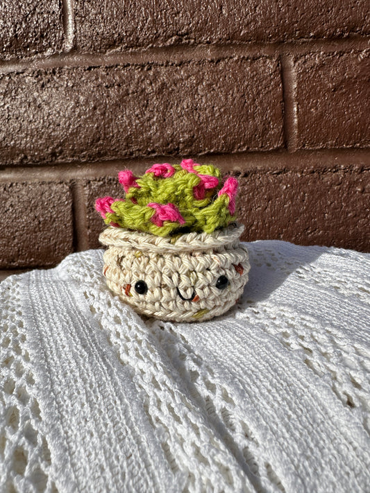 Crochet Cactus Succulent in Sandy Pot with Lime Color