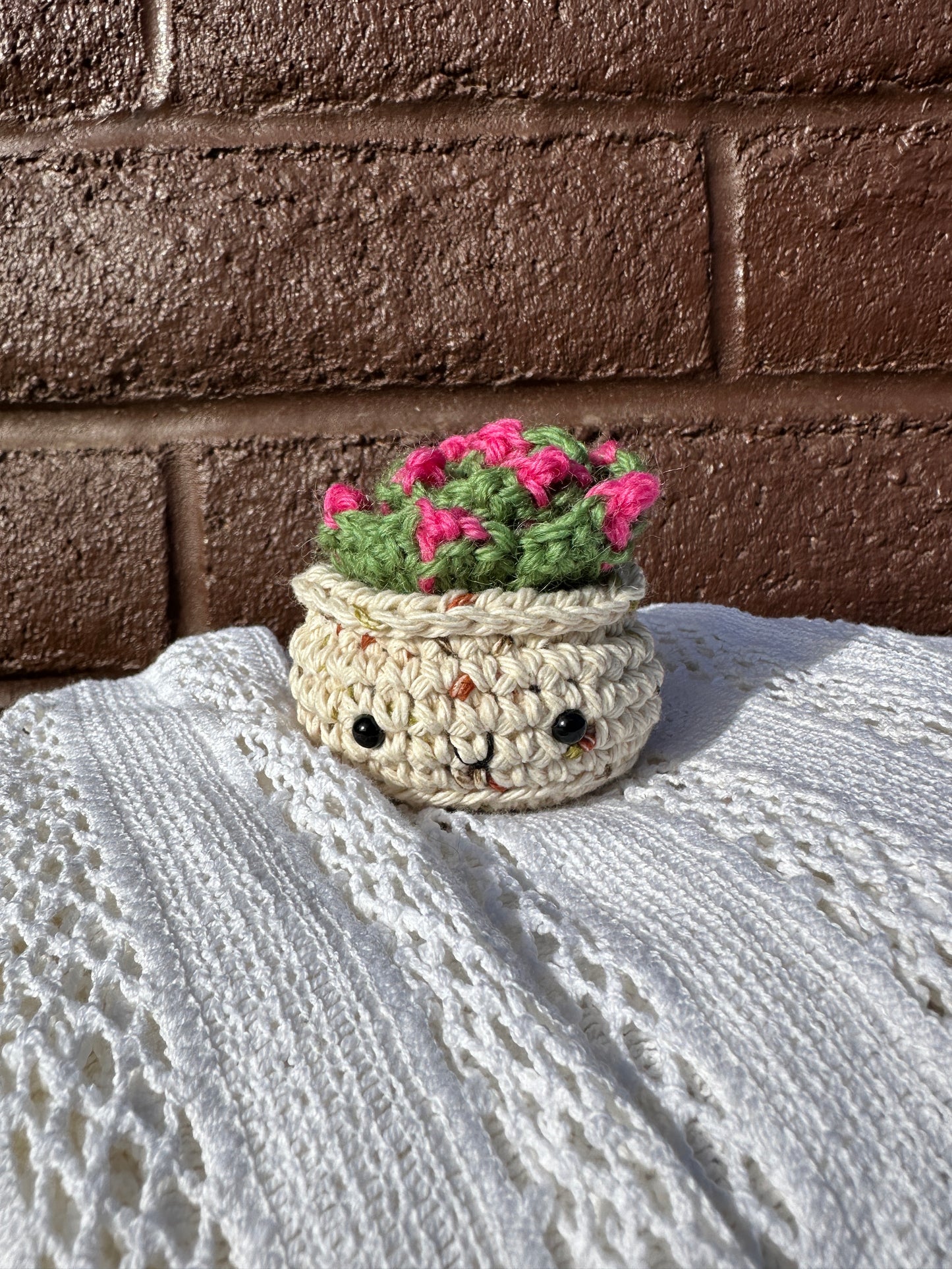 Crochet Cactus  Succulent in Sandy Pot with Fern Color