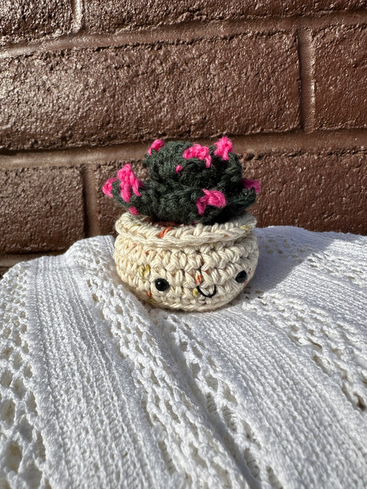 Crochet Cactus  Succulent in Sandy Pot with Forest Color