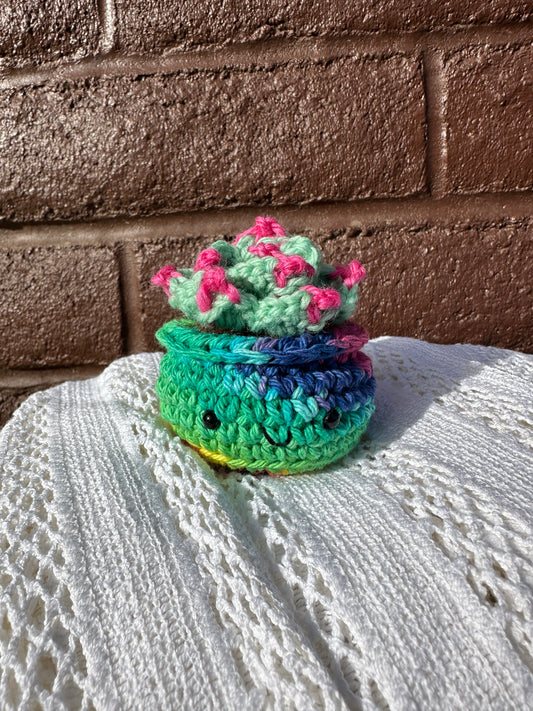 Crochet Cactus Succulent in Rainbow Pot with Mint Color