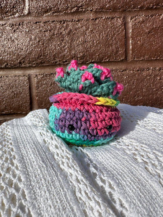 Crochet Cactus Succulent in Rainbow Pot with Thyme Color