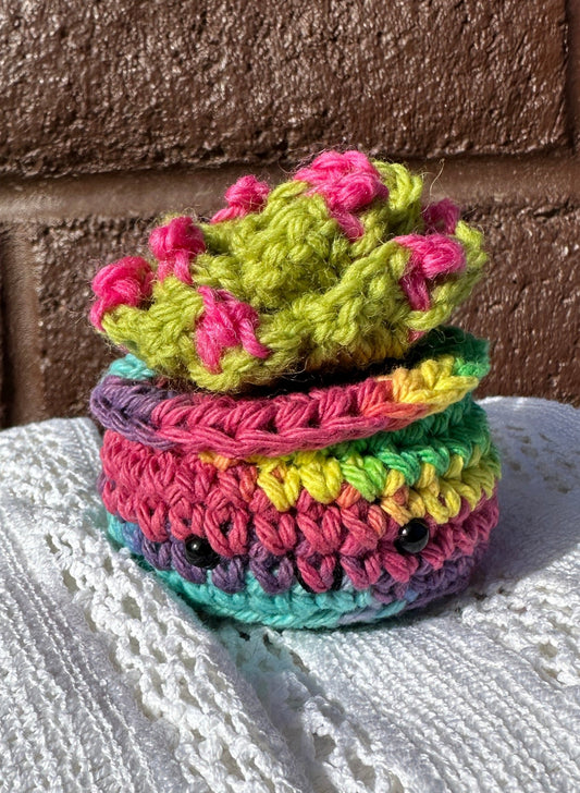 Crochet Cactus  Succulent in Rainbow Pot with Lime Color