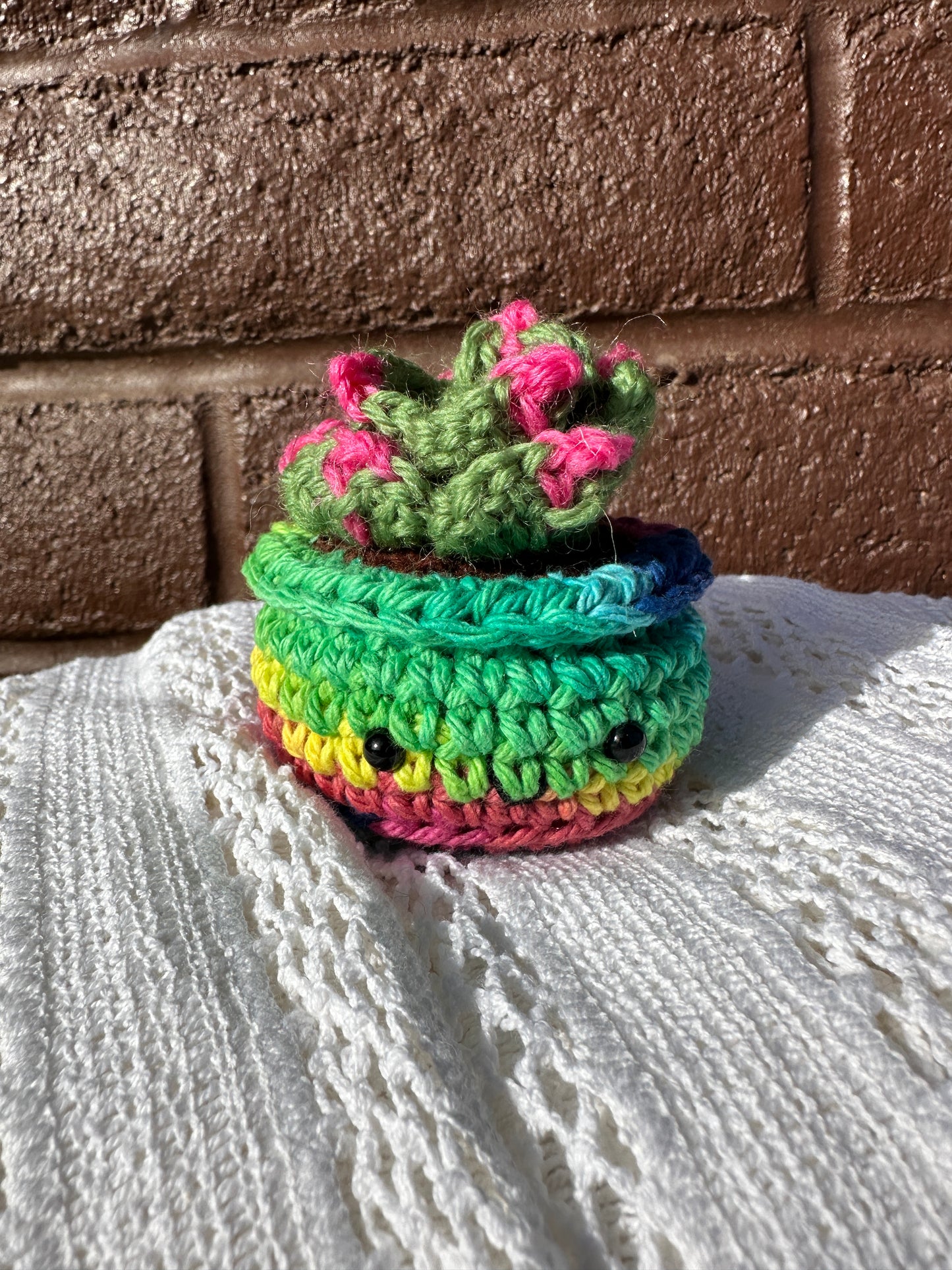 Crochet Cactus  Succulent in Rainbow Pot with Fern Color