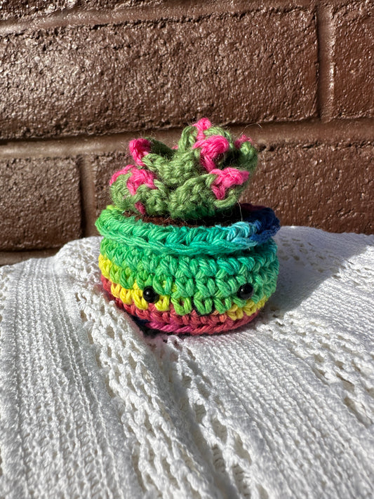 Crochet Cactus  Succulent in Rainbow Pot with Fern Color