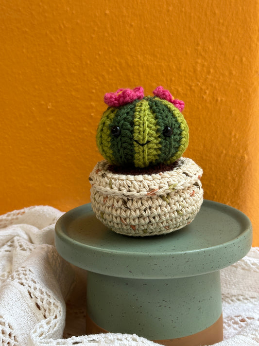 Hand Crochet Lime and Kale  Barrel Cactus with Coral Flower in Terracotta Pot