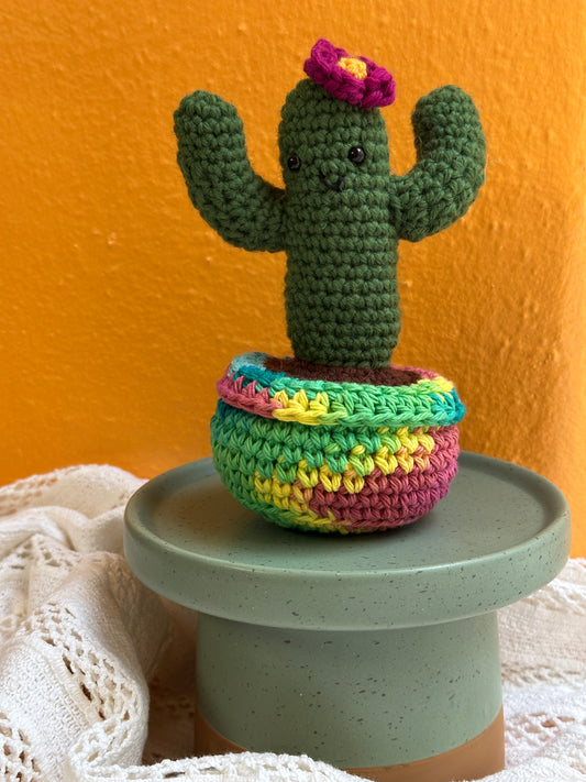 Crochet Cactus Kale Saguaro Cactus With Orchid Flower in Rainbow Pot