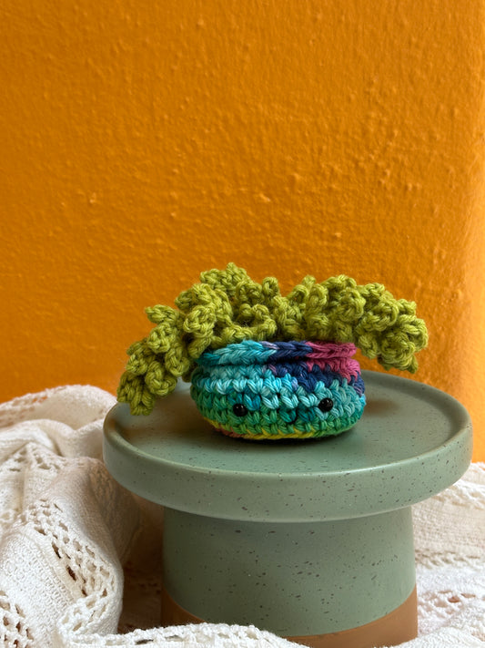 Mini Burro Tail Crochet Cactus in Rainbow Pot with Lime Color