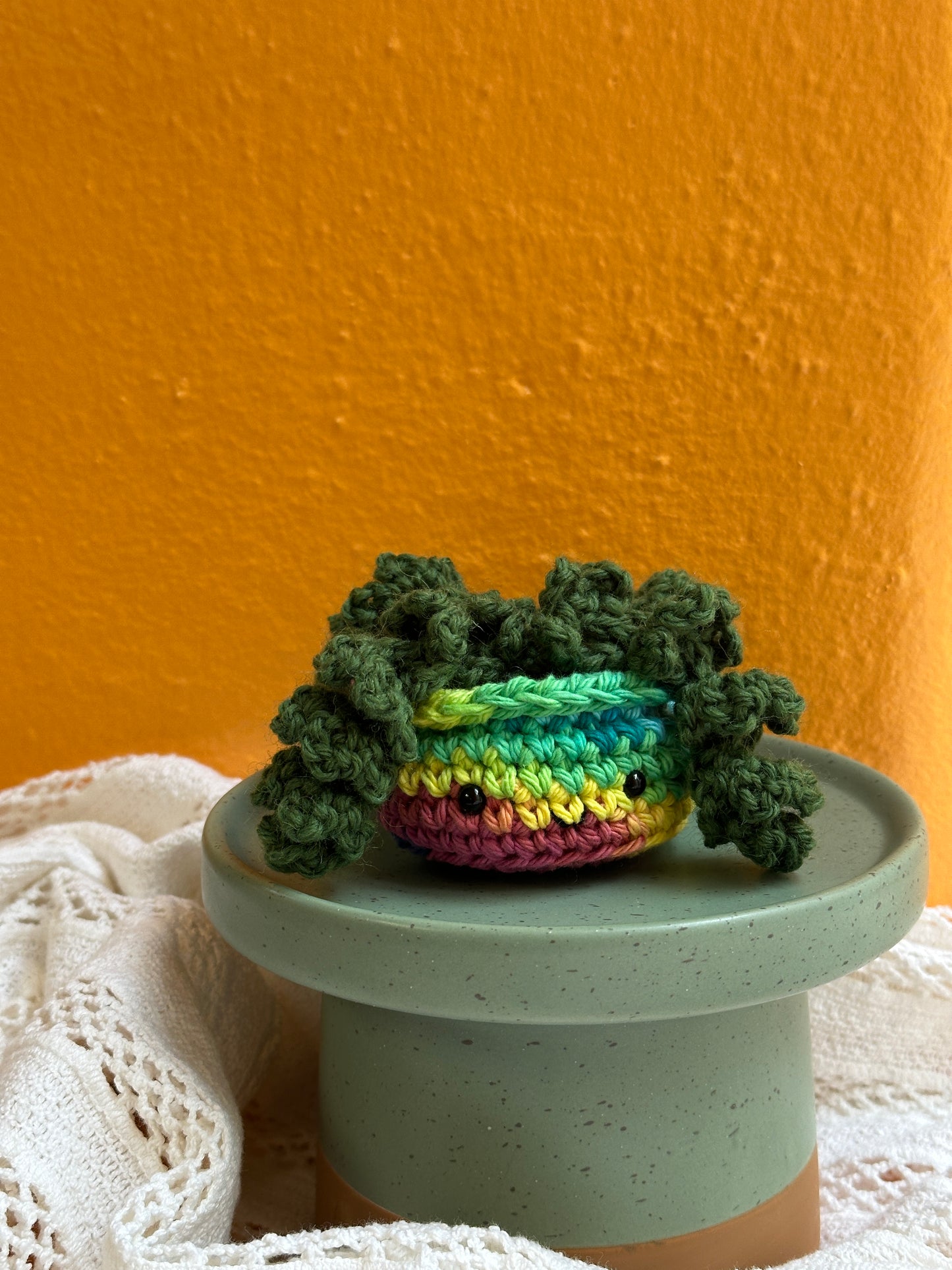 Mini Burro Tail Crochet Cactus in Rainbow Pot with Kale Color