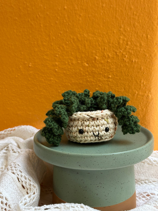 Mini Burro Tail Crochet Cactus in Terracotta Pot with Kale Color