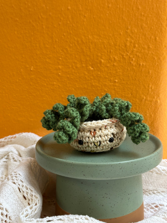 Mini Burro Tail Crochet Cactus in Terracotta Pot with Clover Color