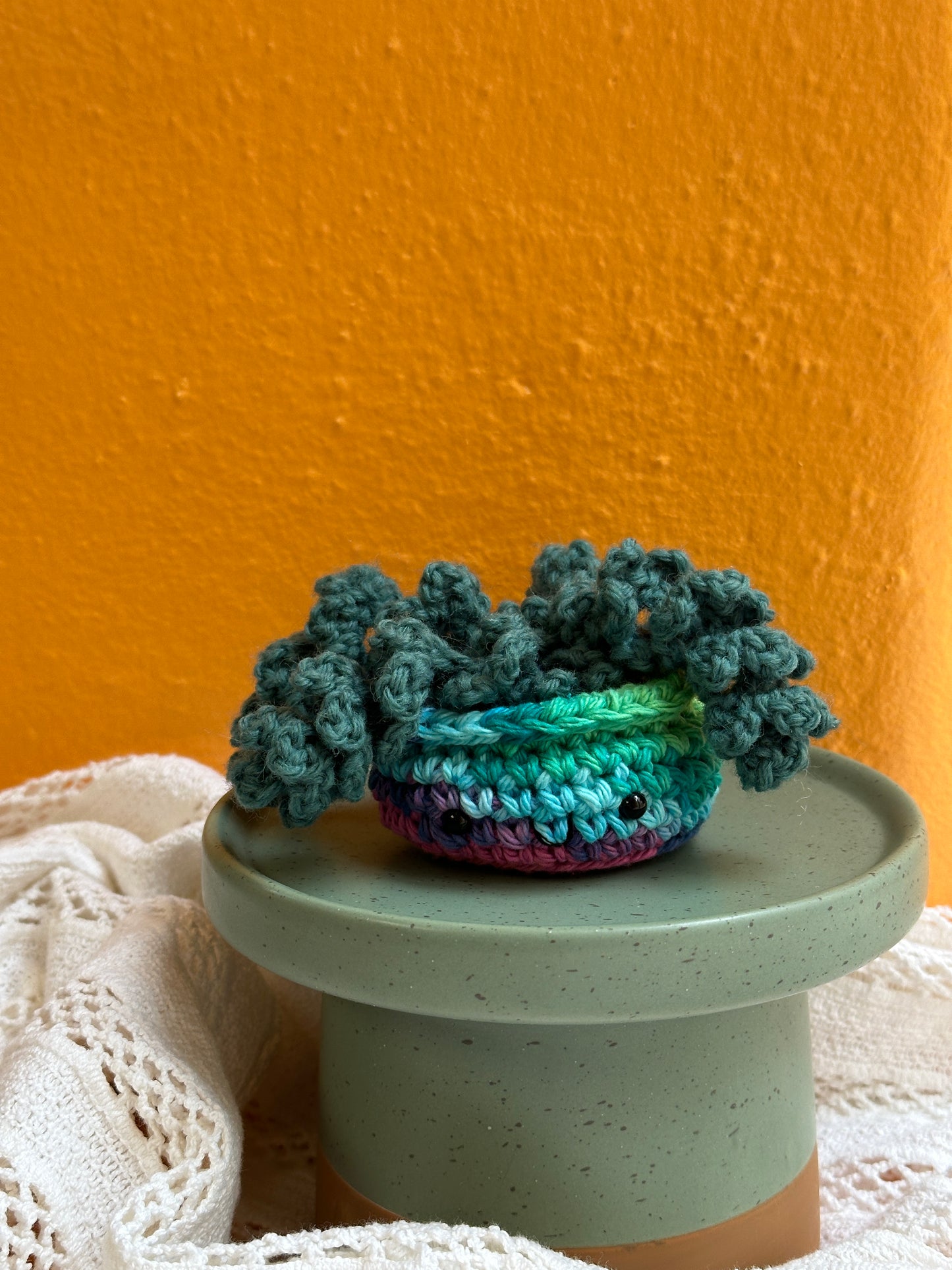 Mini Burro Tail Crochet Cactus in Rainbow Pot with Thyme Color