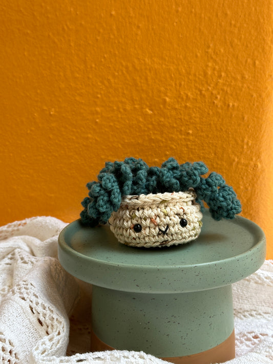 Mini Burro Tail Crochet Cactus in Terracotta Pot with Thyme Color