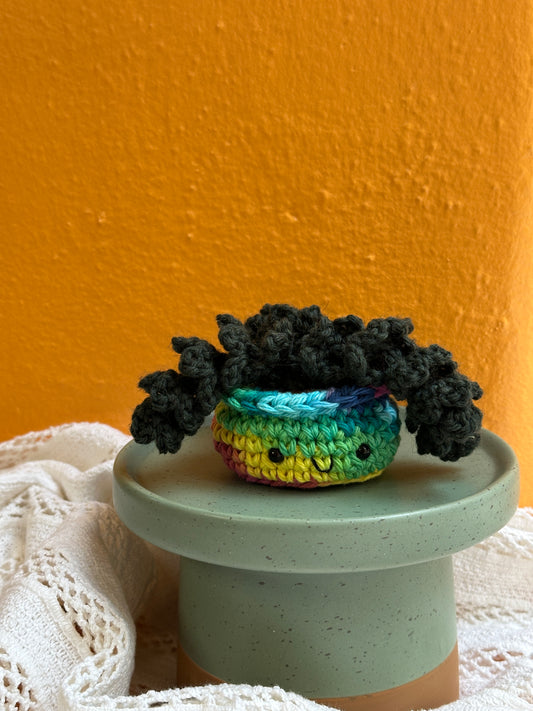 Mini Burro Tail Crochet Cactus in Rainbow Pot with Forest Color