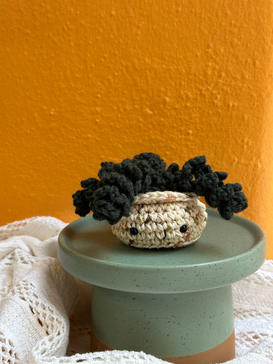 Mini Burro Tail Crochet Cactus in Terracotta Pot with Forest Color