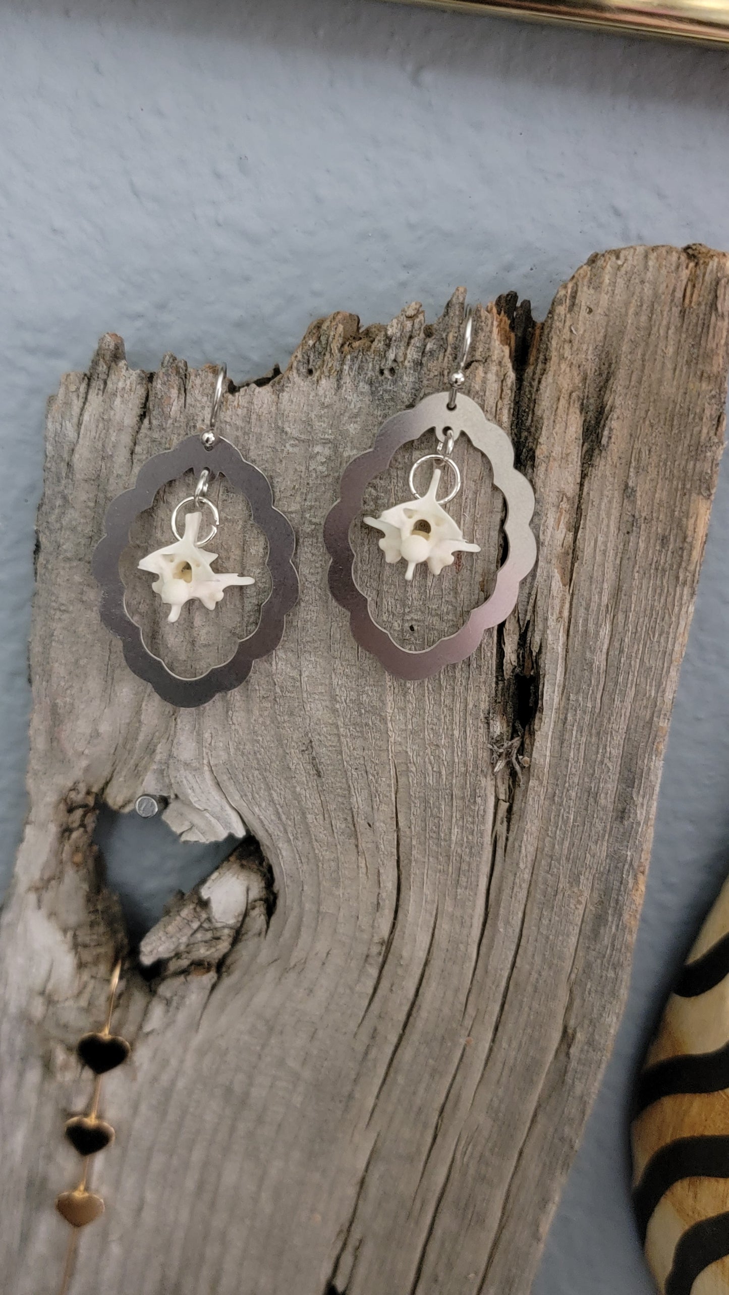 Scalloped Oval with Rattlesnake Vertebrae Earrings