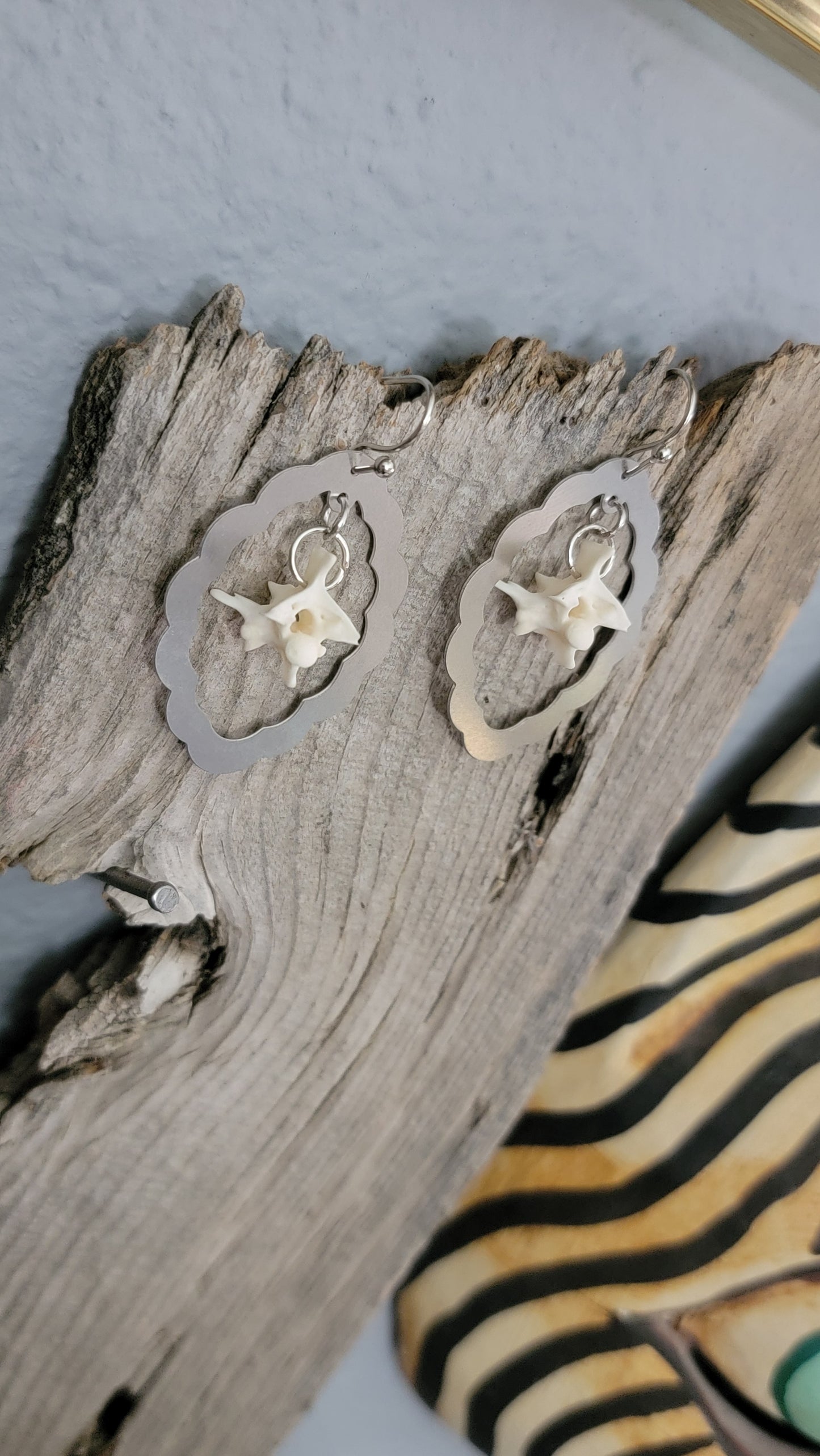 Scalloped Oval with Rattlesnake Vertebrae Earrings