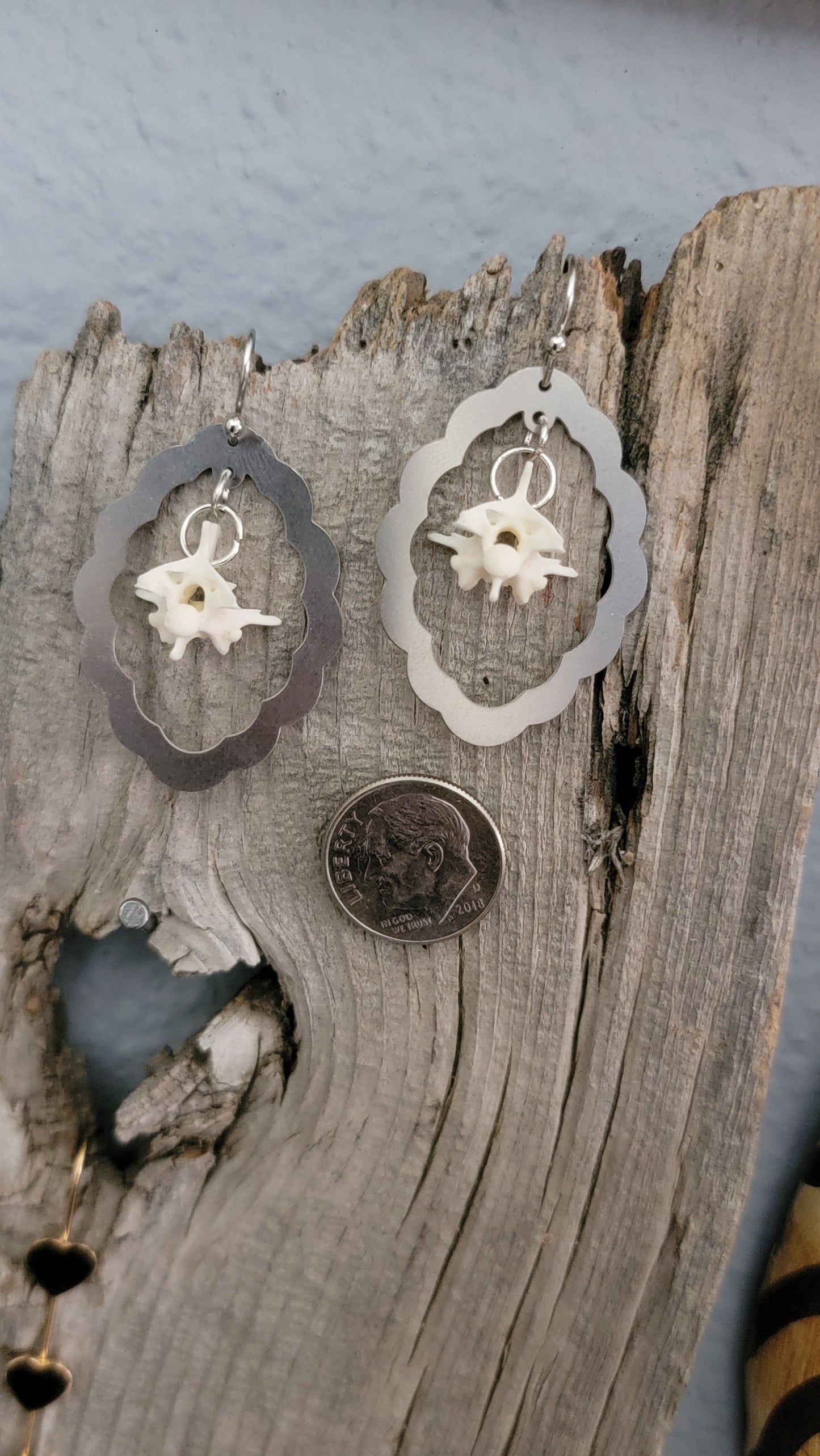 Scalloped Oval with Rattlesnake Vertebrae Earrings