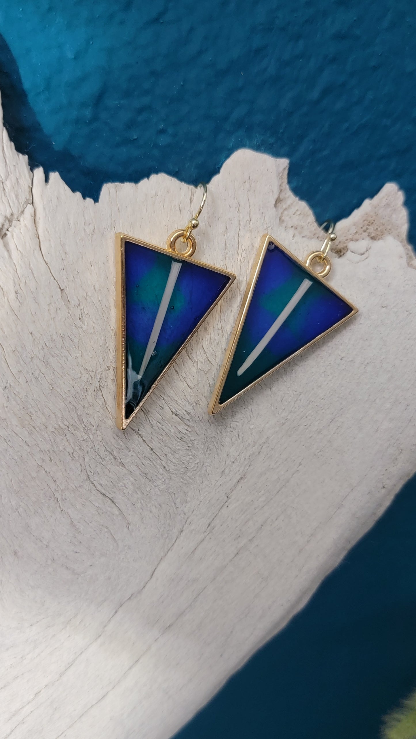 Triangle with Pheasant Bone Earrings