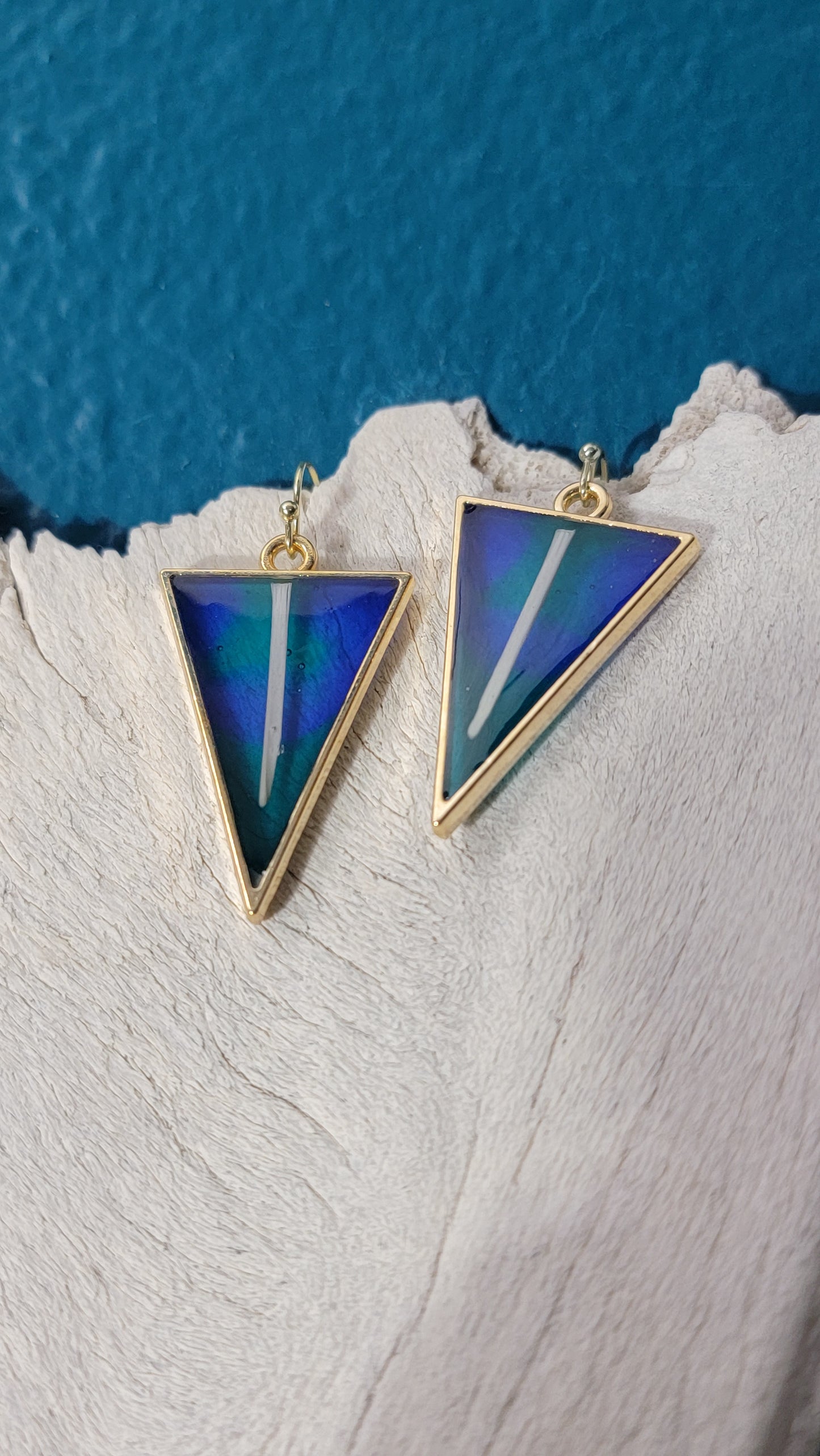 Triangle with Pheasant Bone Earrings