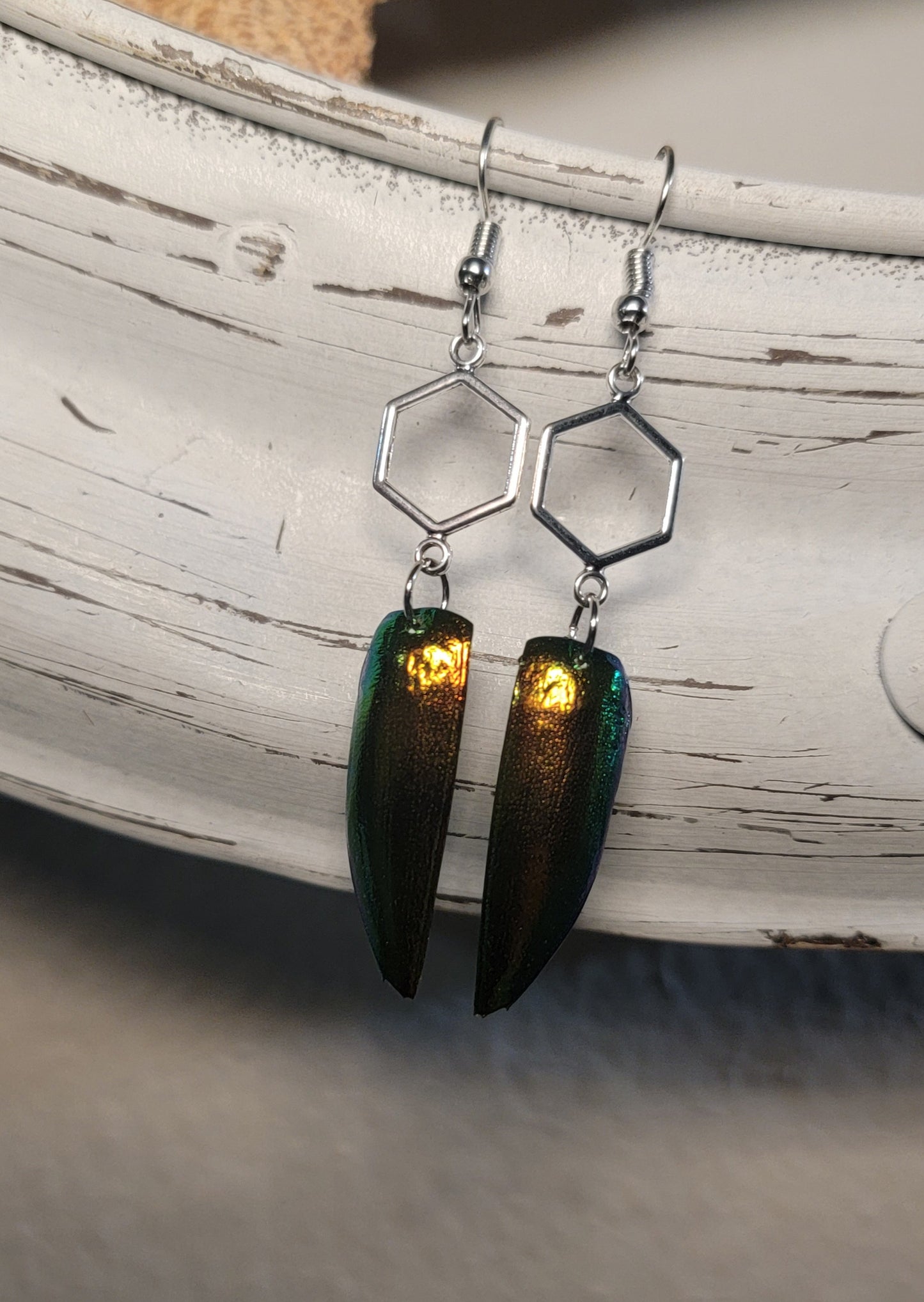 Beetle Wings with Silver Hexagons