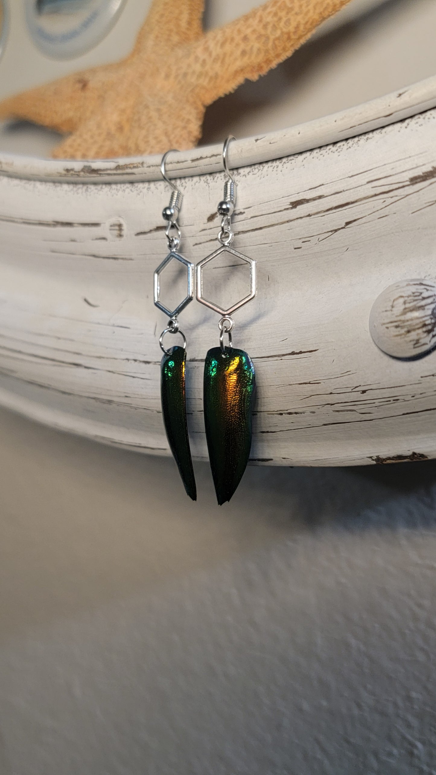 Beetle Wings with Silver Hexagons