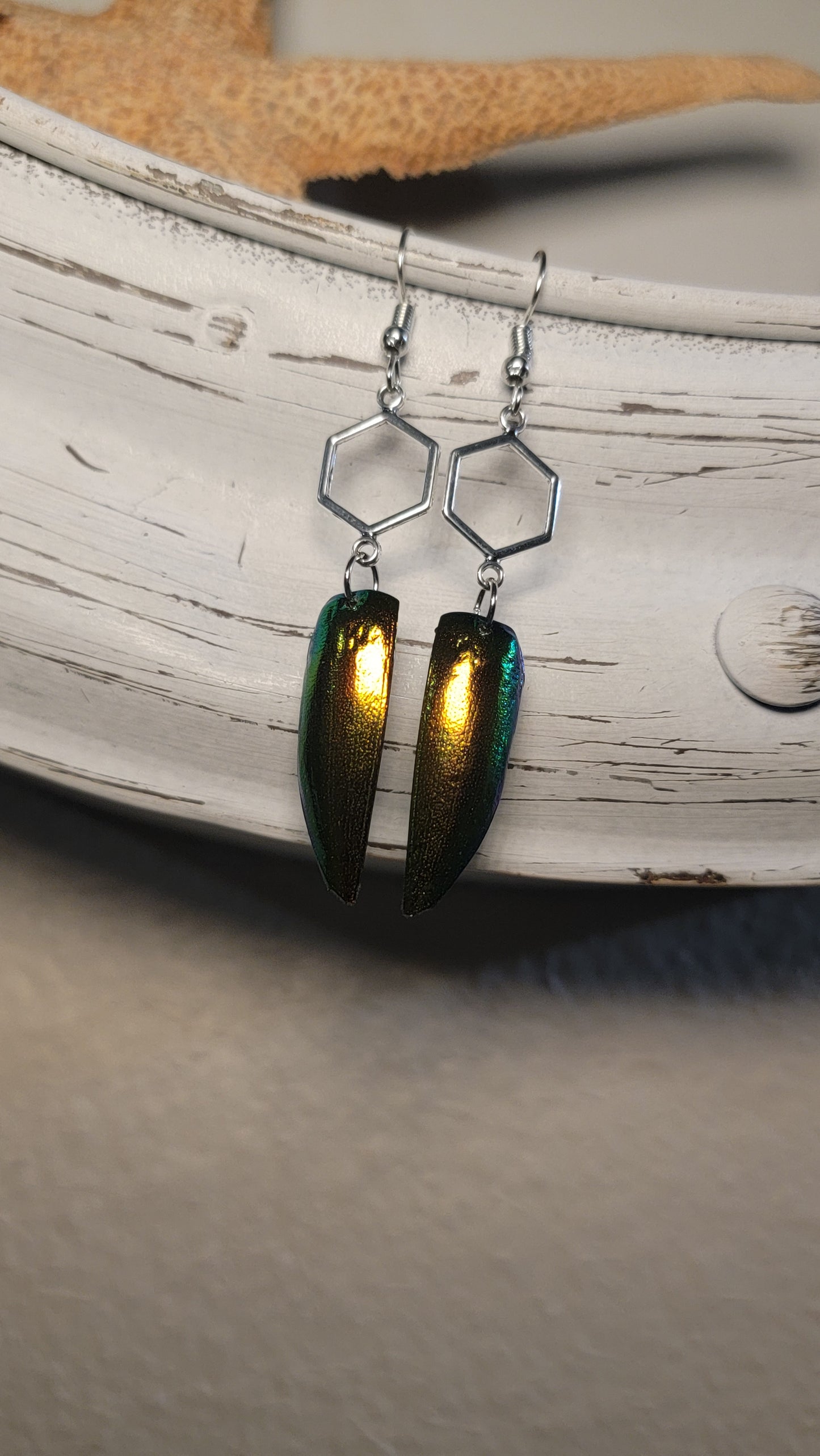 Beetle Wings with Silver Hexagons