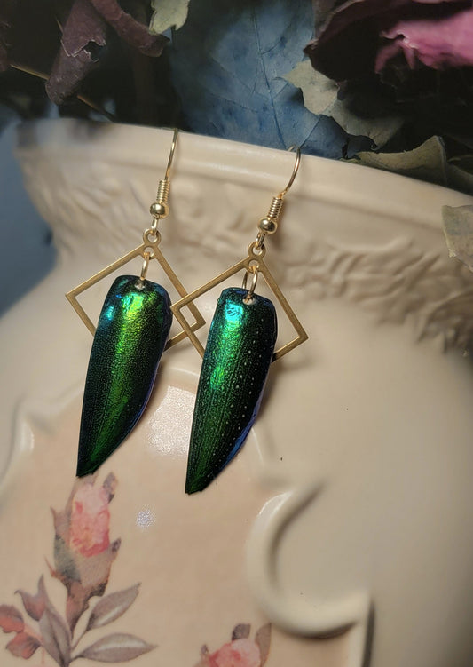 Beetle Wings with Diamond Back