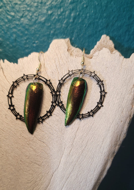 Beetle Wings with Star Hoop Earrings