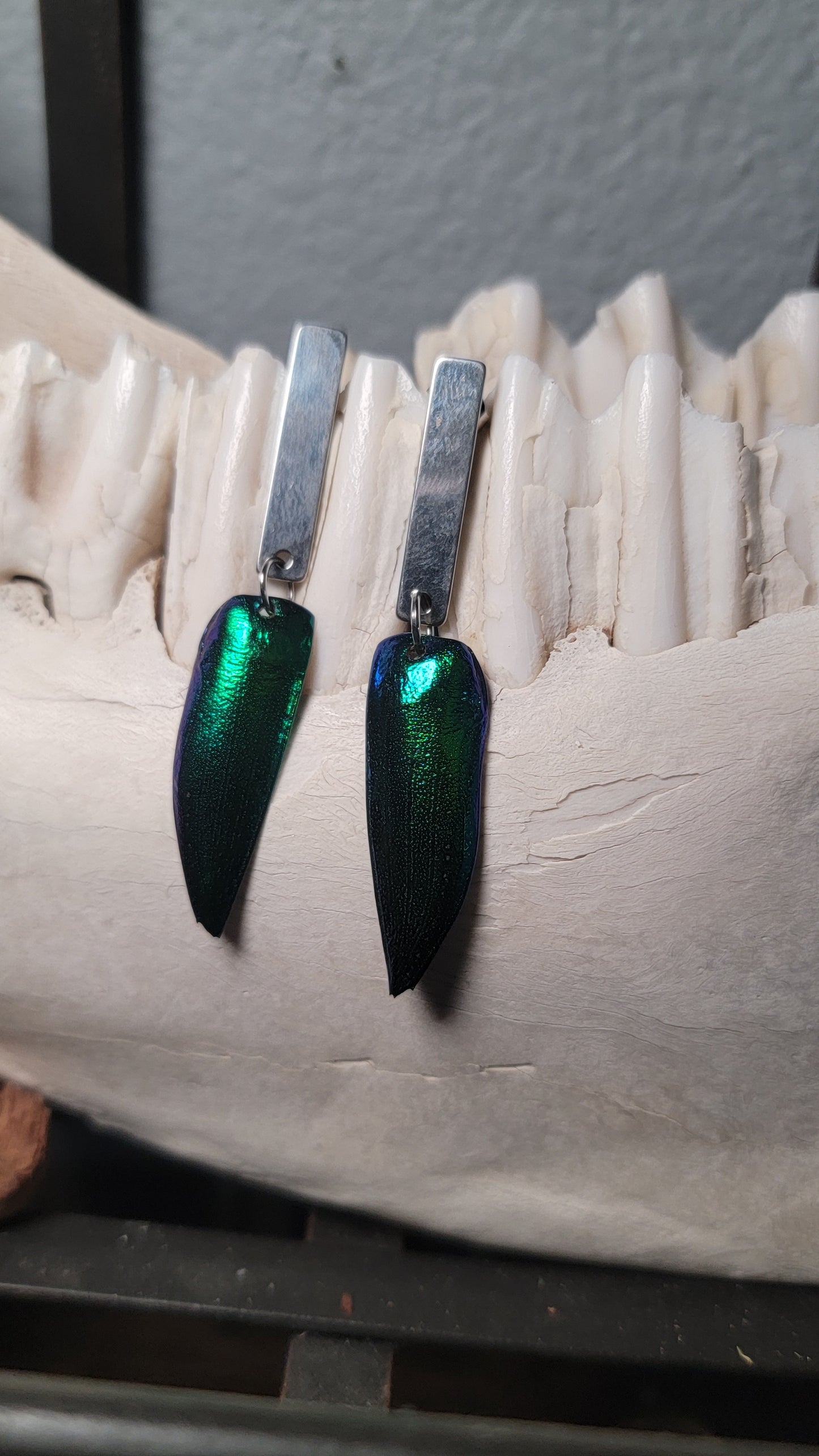 Beetle Wings with Simple Silver Rectangle