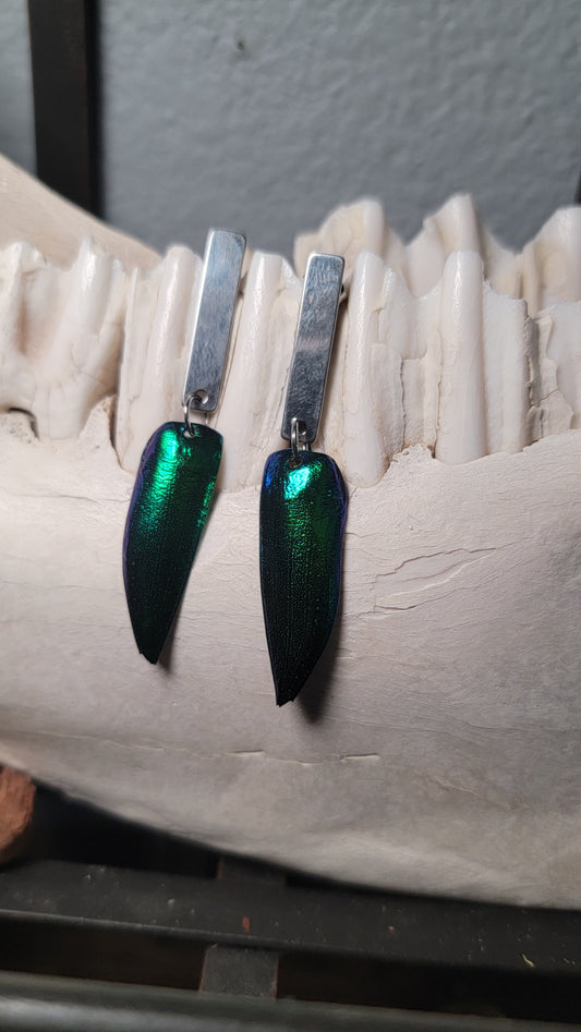 Beetle Wings with Simple Silver Rectangle