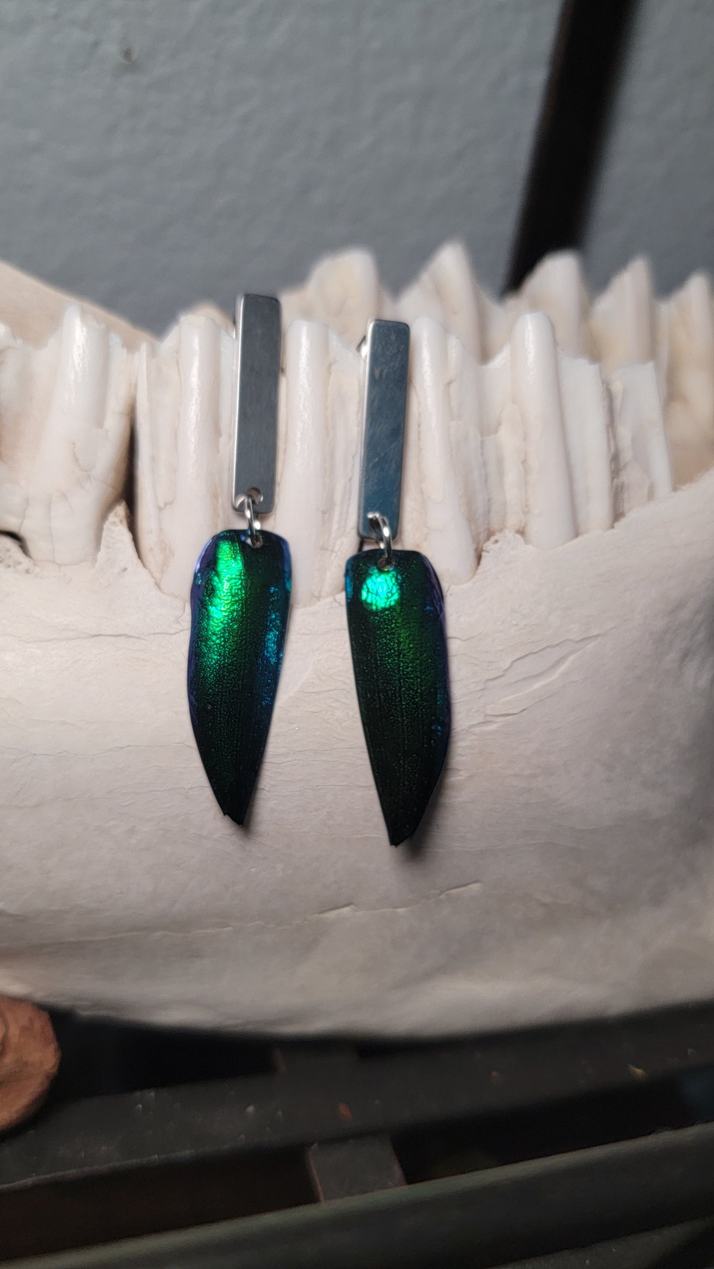 Beetle Wings with Simple Silver Rectangle