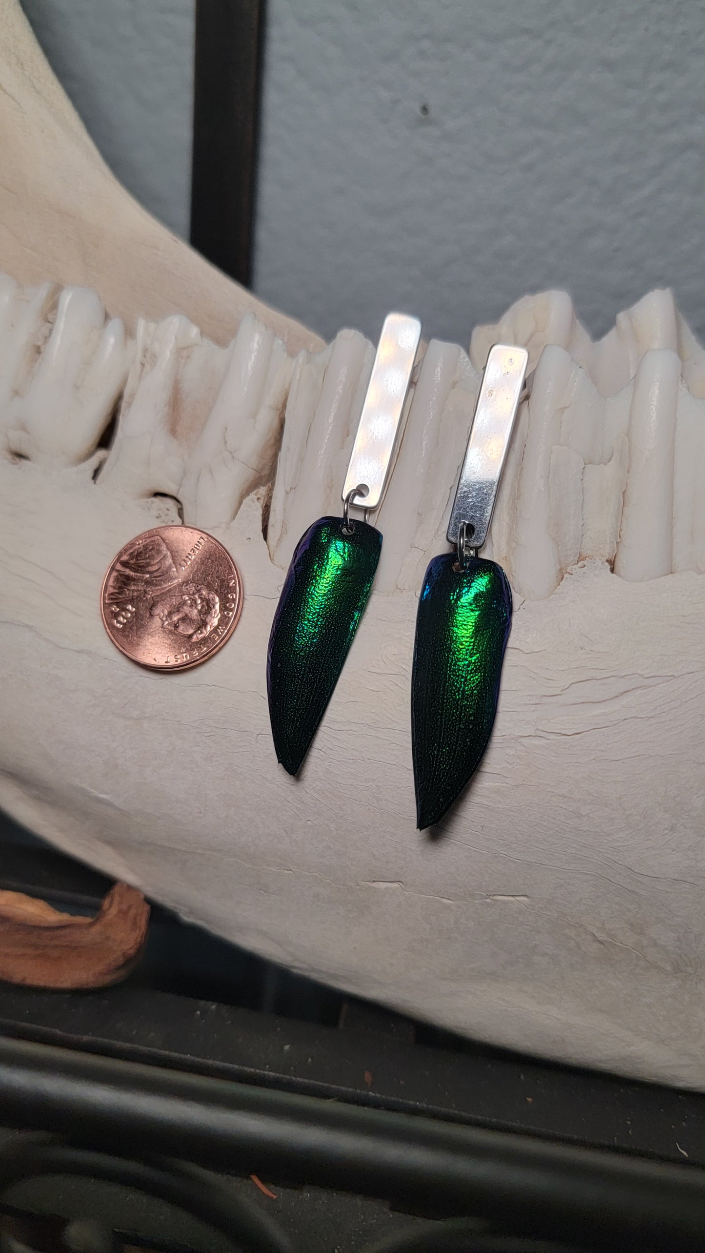 Beetle Wings with Simple Silver Rectangle