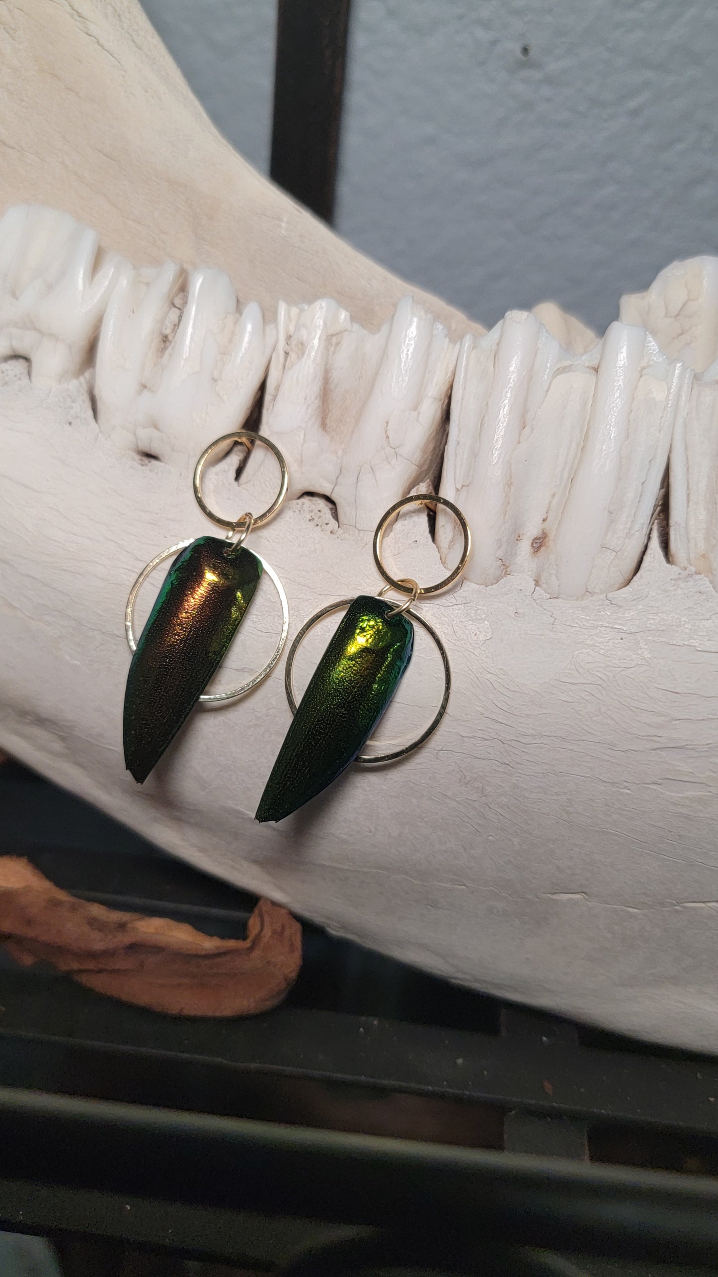 Beetle Wings with Gold Circles