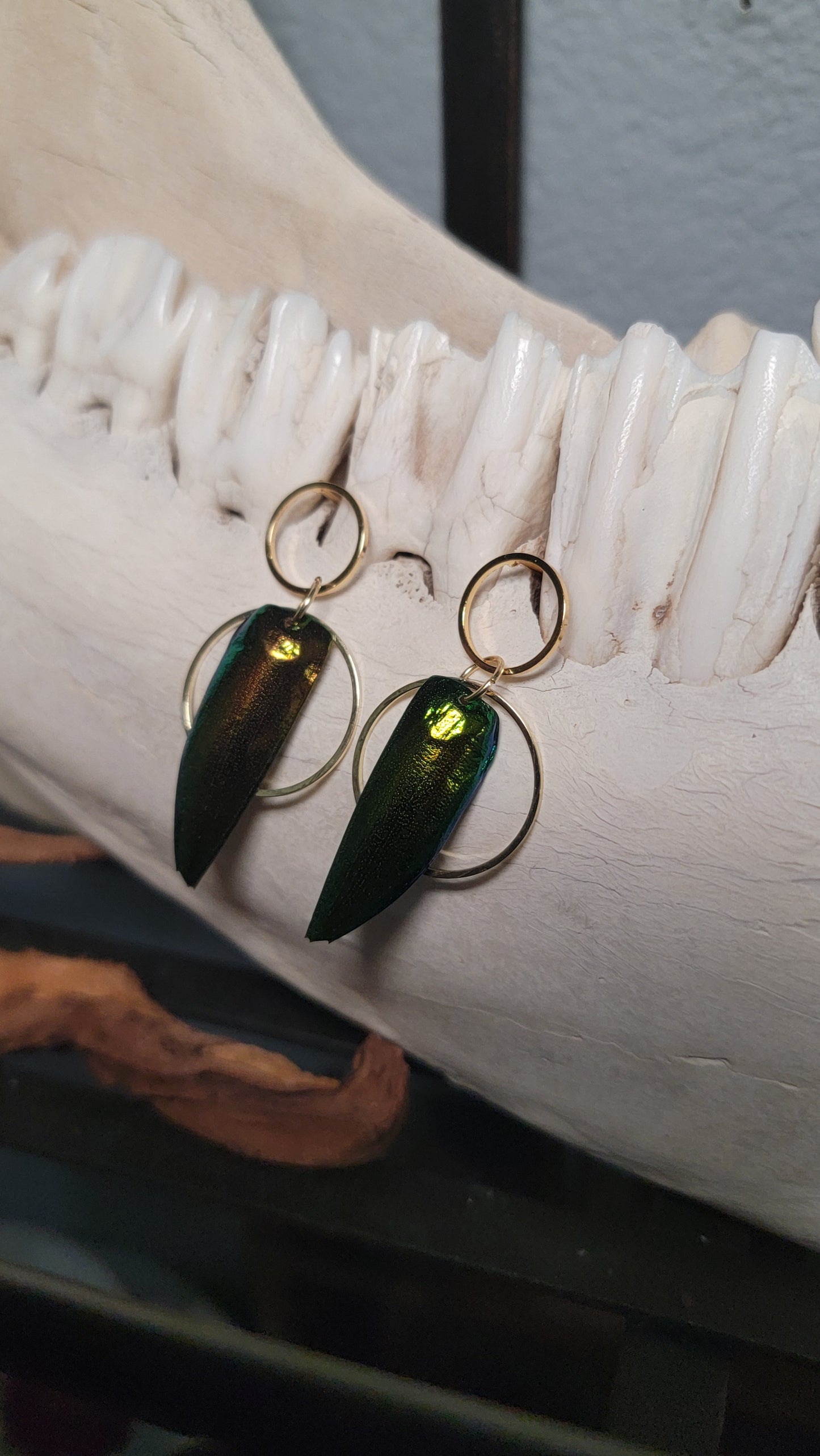 Beetle Wings with Gold Circles