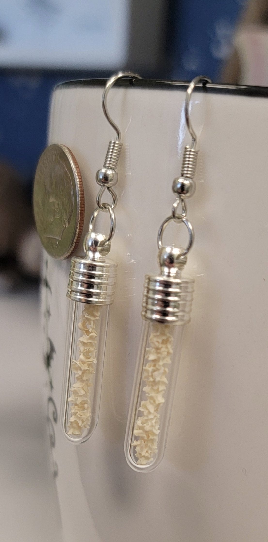 Garter Snake Vertebrae in Vial Earrings