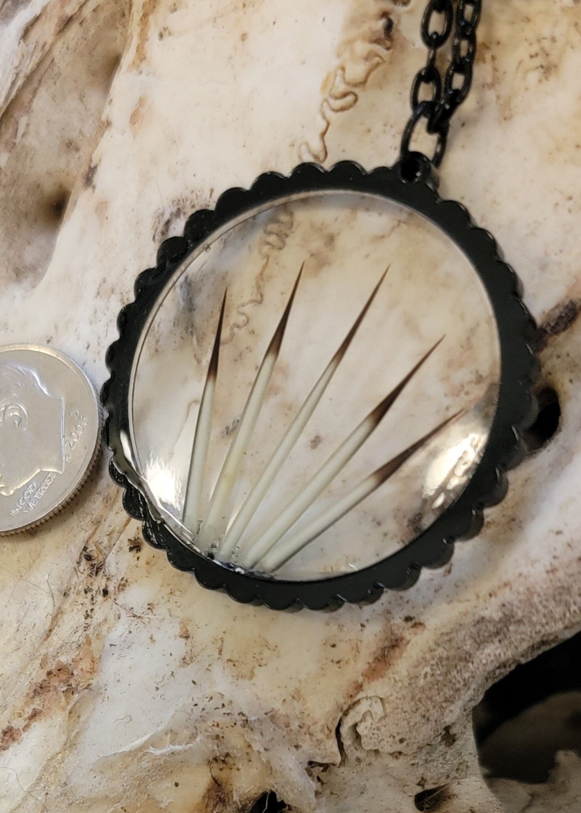 " Porcupine Quill " Black Necklace