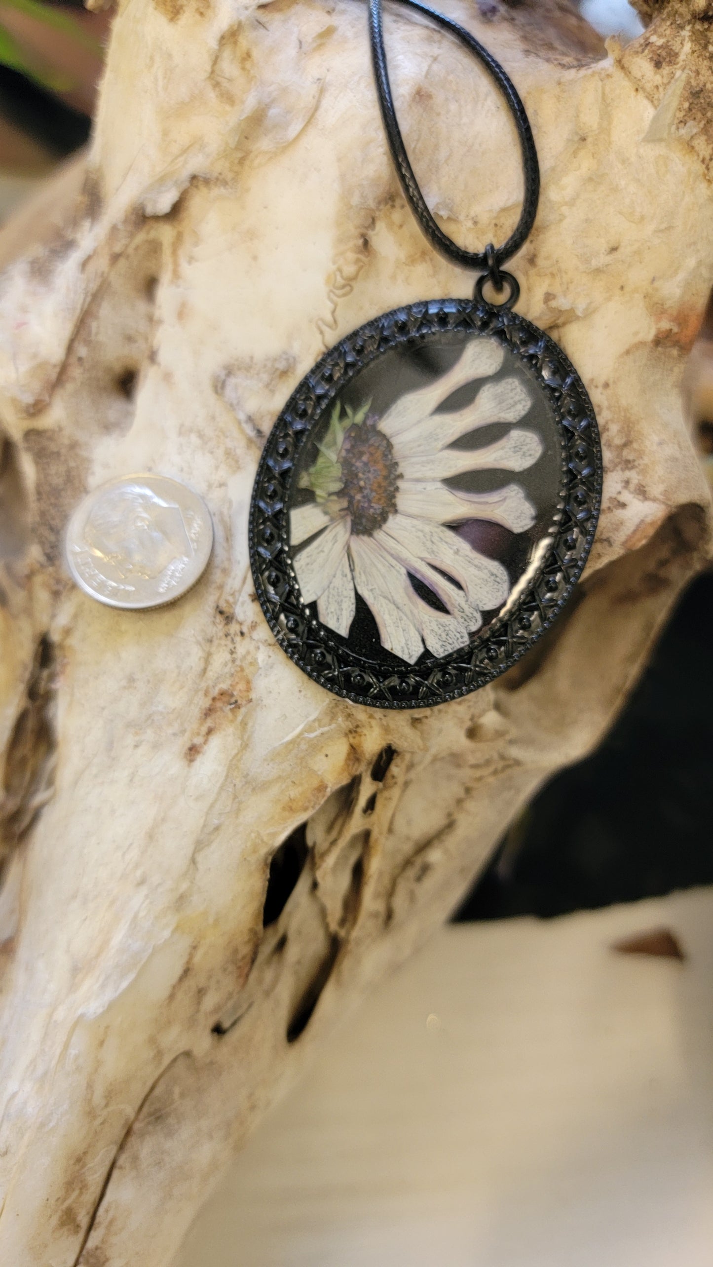 " Cape Daisy Flower " Black Necklace