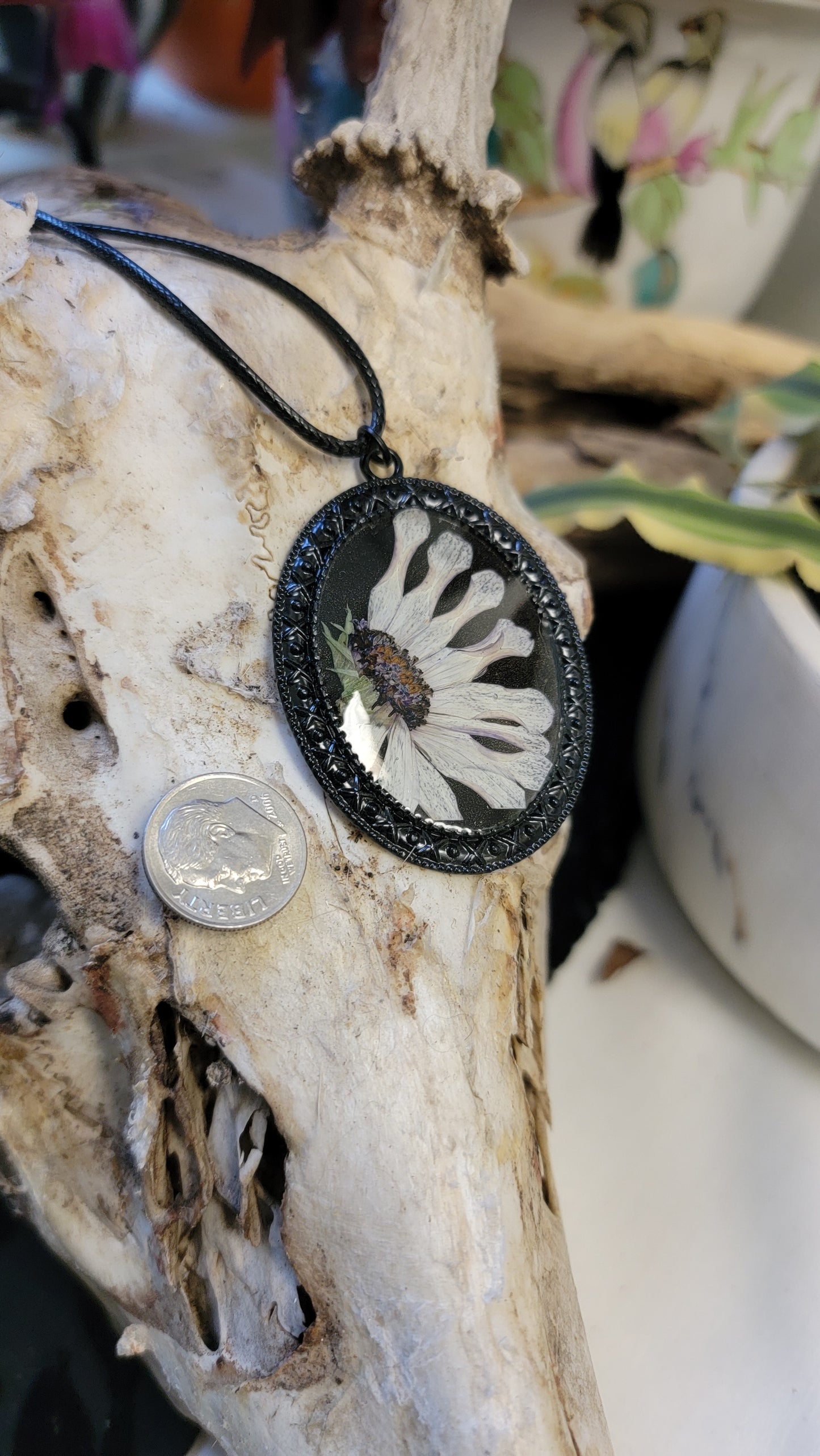 " Cape Daisy Flower " Black Necklace