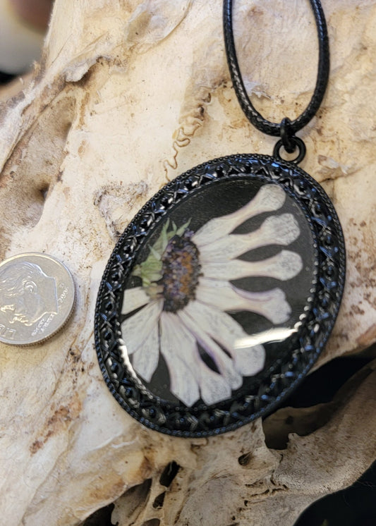 " Cape Daisy Flower " Black Necklace