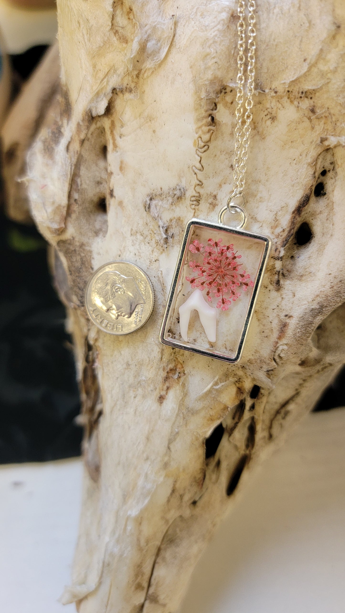 " Raccoon Tooth and Pink Floral " Necklace